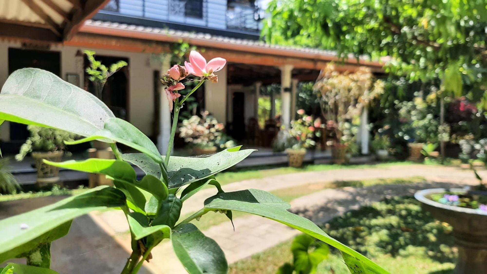 The Green Heritance - Habarana Hotel Ngoại thất bức ảnh